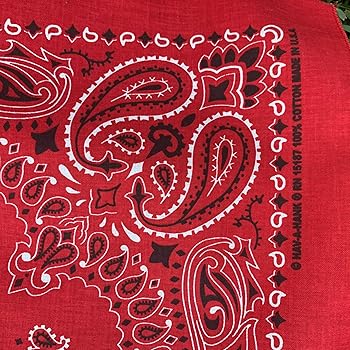 【 Supreme 】Hav-A-Hank Bandanas Spring/Summer 2024 Preview – Supreme